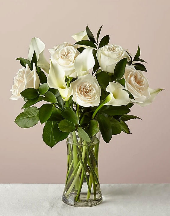 Vision Ivory Roses