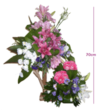 balloons lebanon, teddy bears