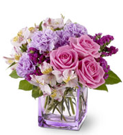 star academy lebanon, lebanese gift, Mission Fashion,lebanese flower