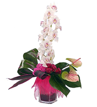 wedding flowers, balloons