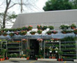 online florist lebanon - real lebanese florist
