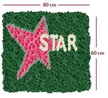 star academy Lebanon, Mission Fashion